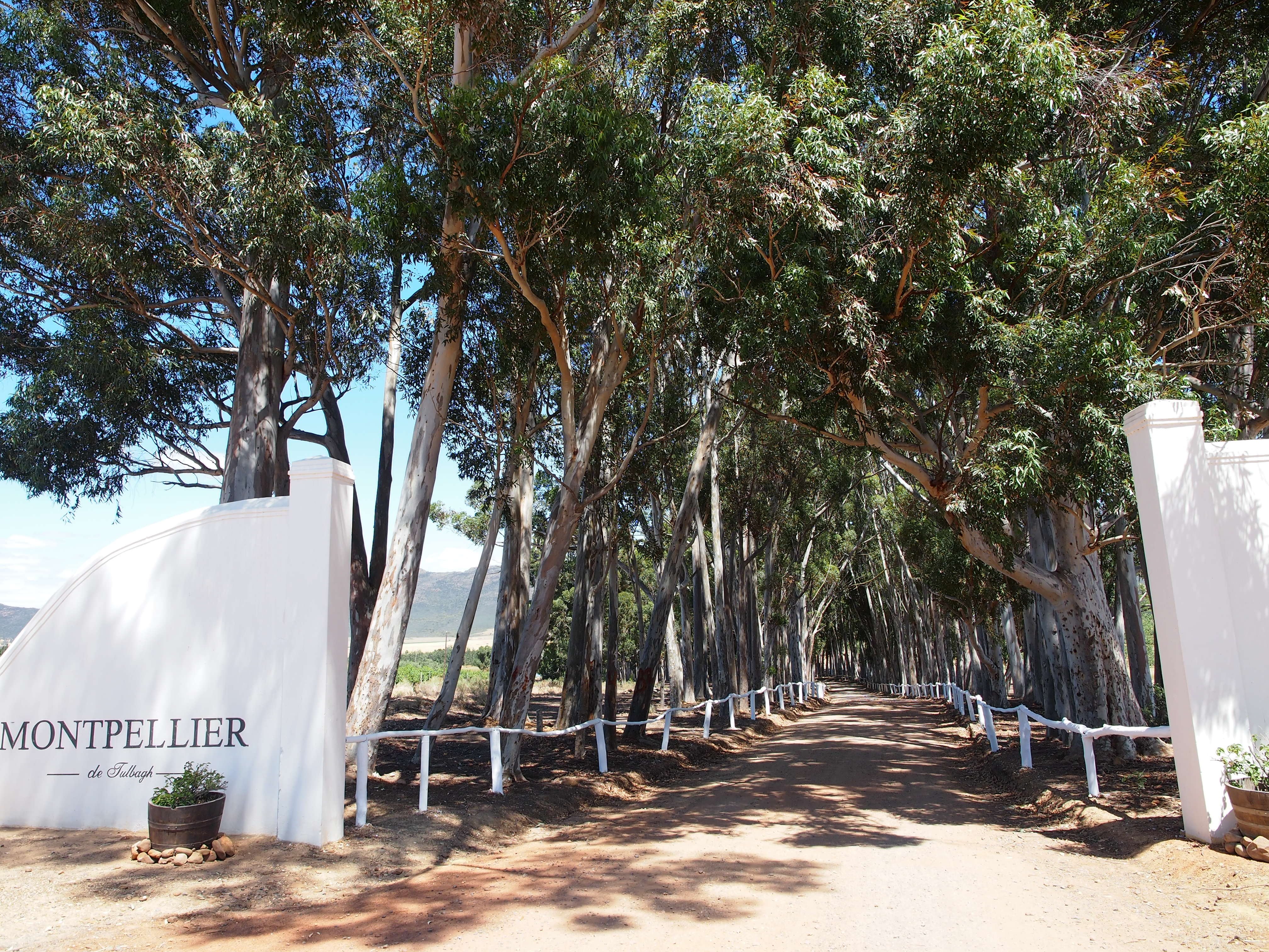 Montpellier De Tulbagh-浴室