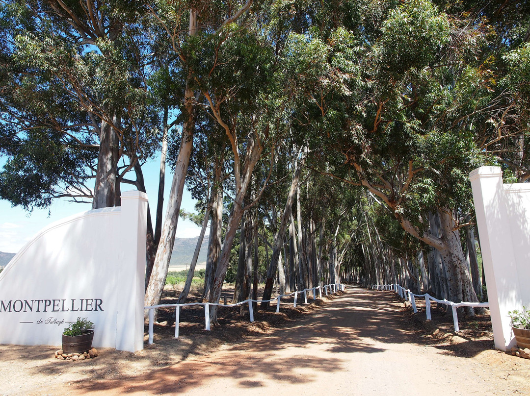 Montpellier De Tulbagh主图