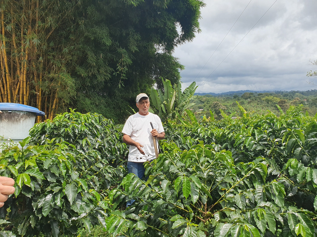 Finca Tematica La Divisa-Filandia必去景点