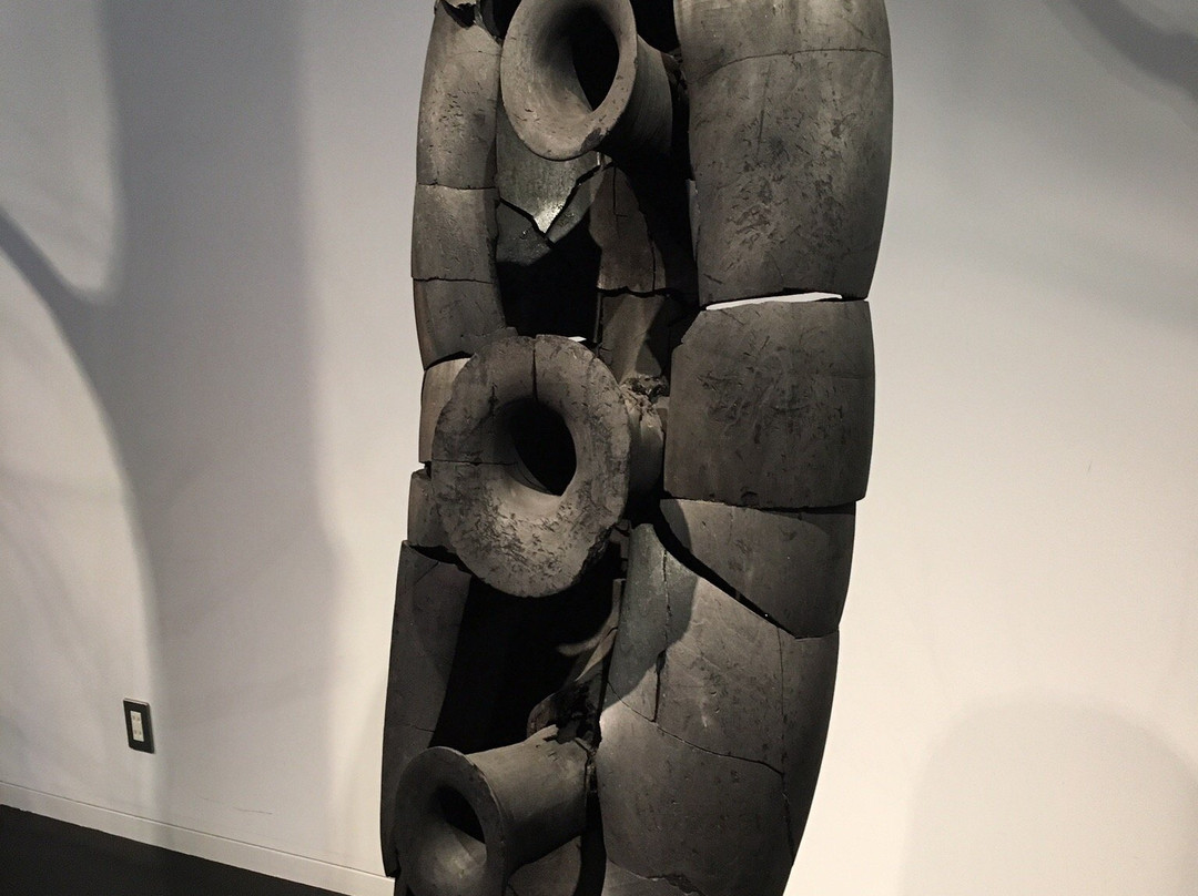 Echigo Tsumari Koryukan Kinare景点图片
