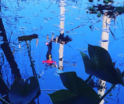 Caraya Ecoparque-科连特斯必去景点