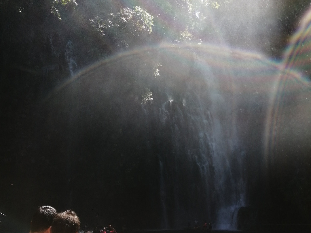 Tinago Falls景点图片