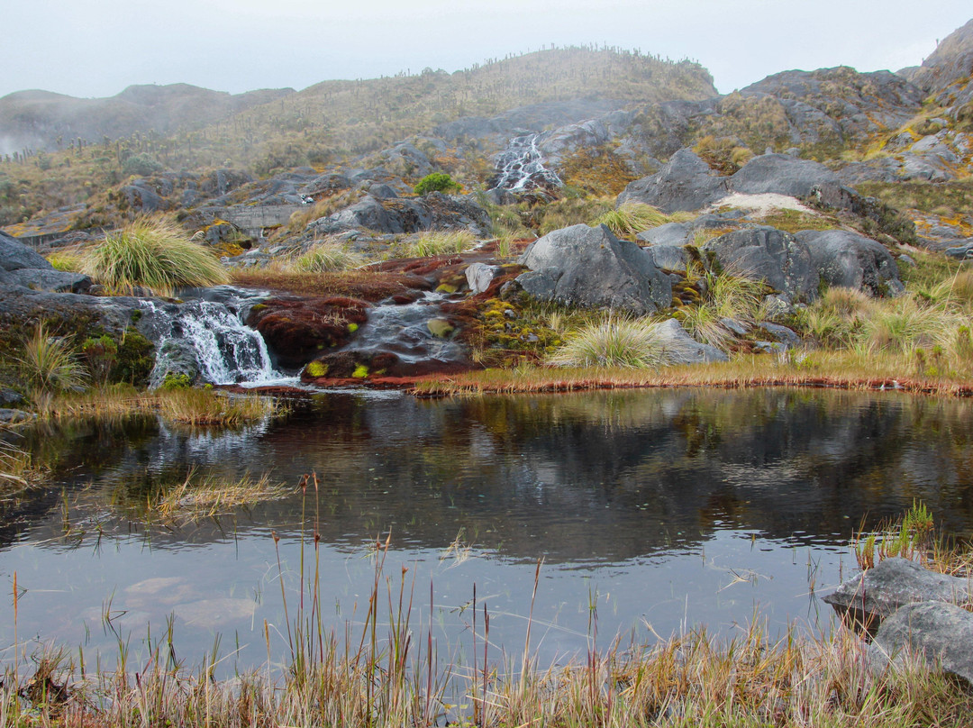 Backpackers Colombia Travel-Manizales必去景点
