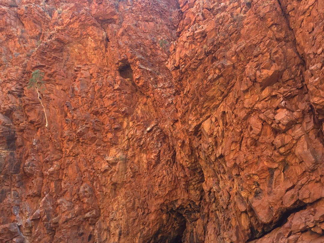 Redbank Gorge-West MacDonnell National Park必去景点