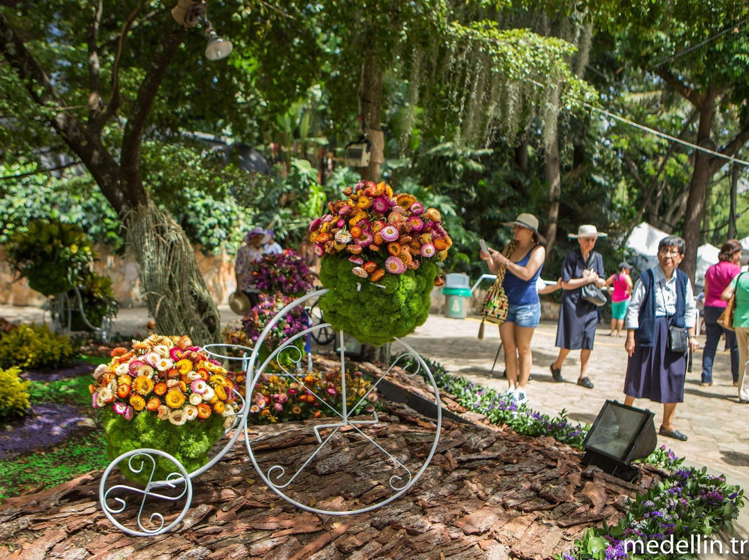 Impulse Travel-麦德林必去景点