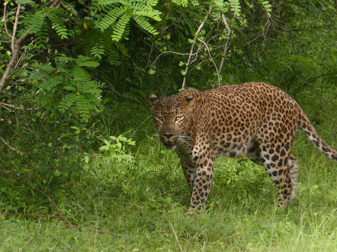 Adventure Team-Marawila必去景点