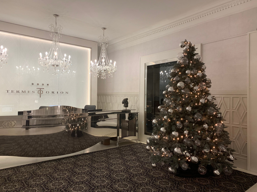 Hotel Balneari Termes Orion主图