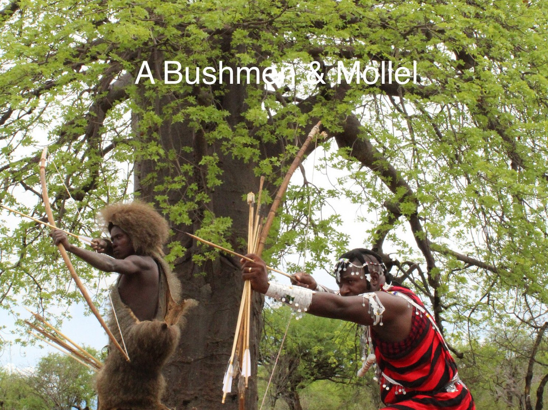 Africa Mollel Safaris-阿鲁沙必去景点