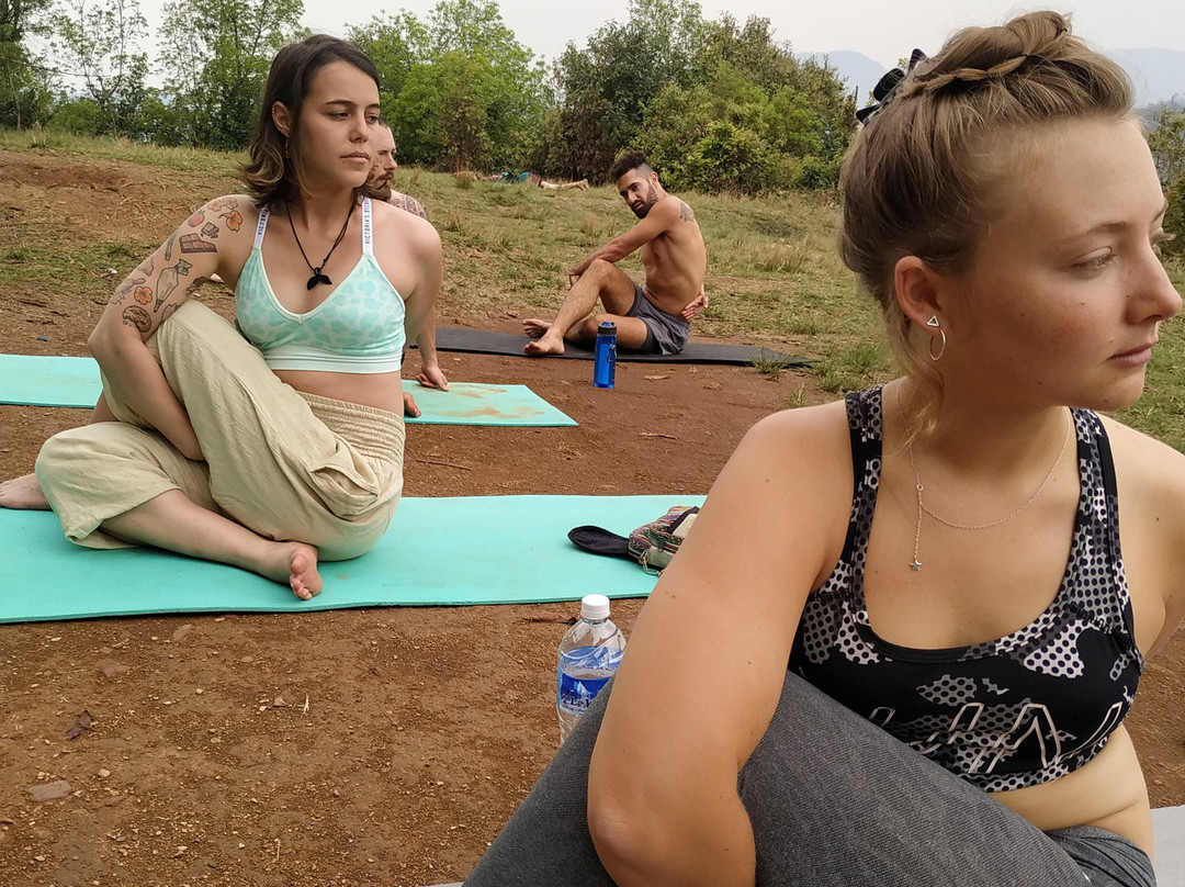 Shakshi Ayurveda Yogasharam景点图片