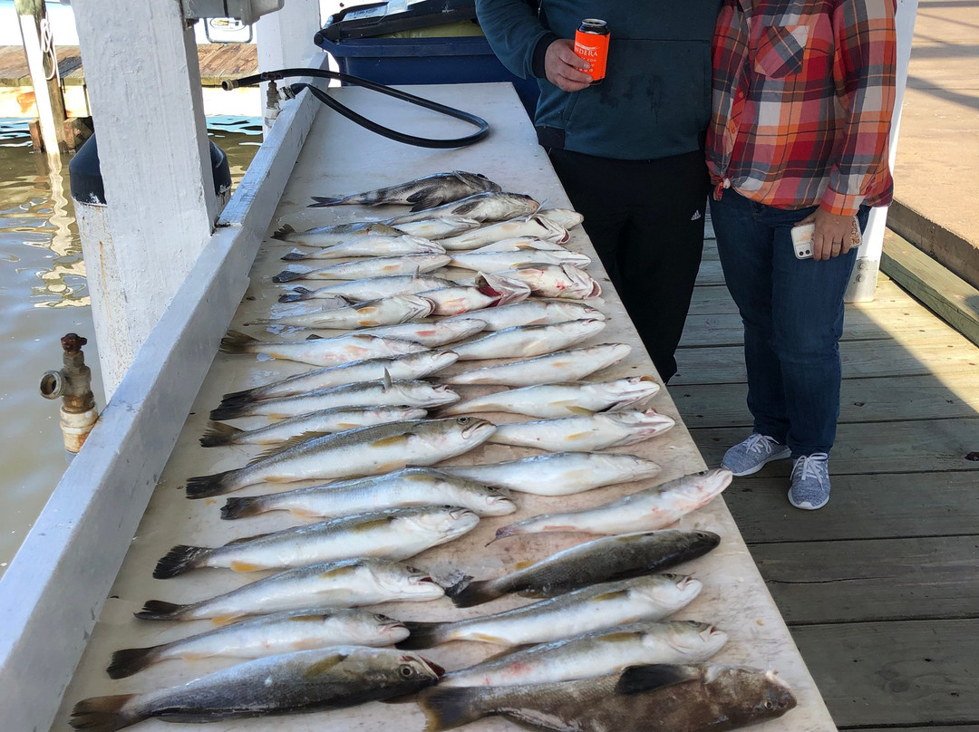 Reel Threel Charters-Freeport必去景点