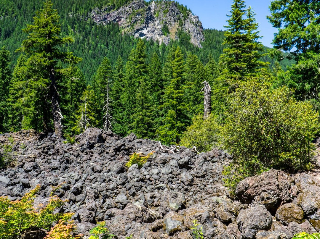 Proxy Falls-Sisters必去景点