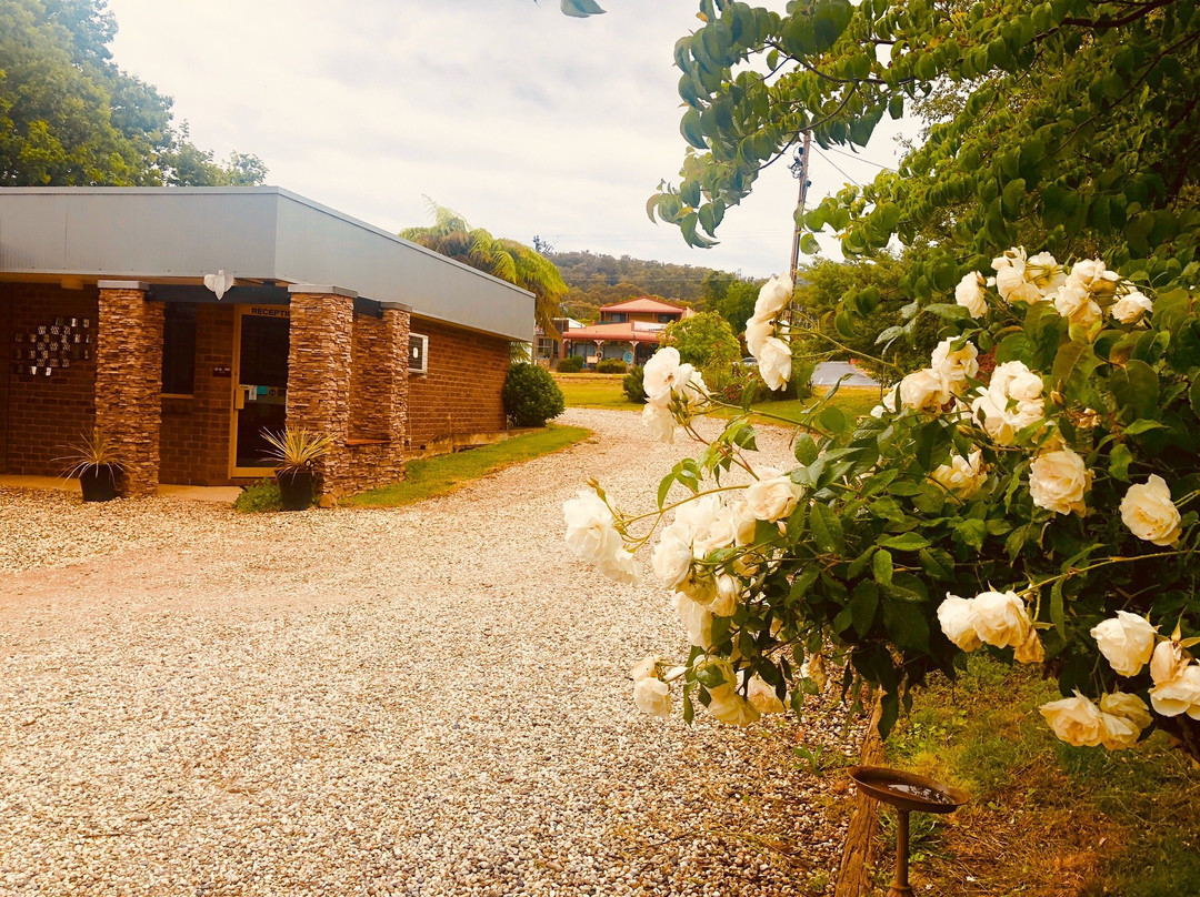 博贡蛾汽车旅馆主图