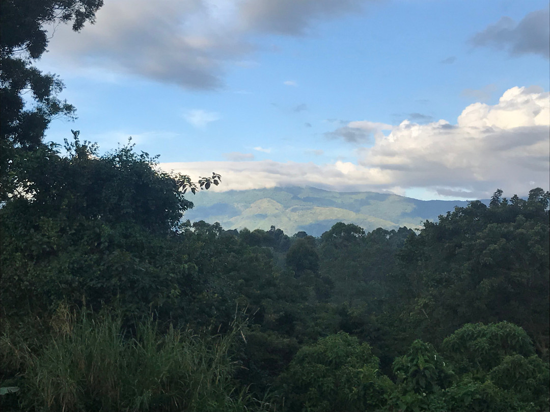 Koi Koi Cultural Village Hotel主图