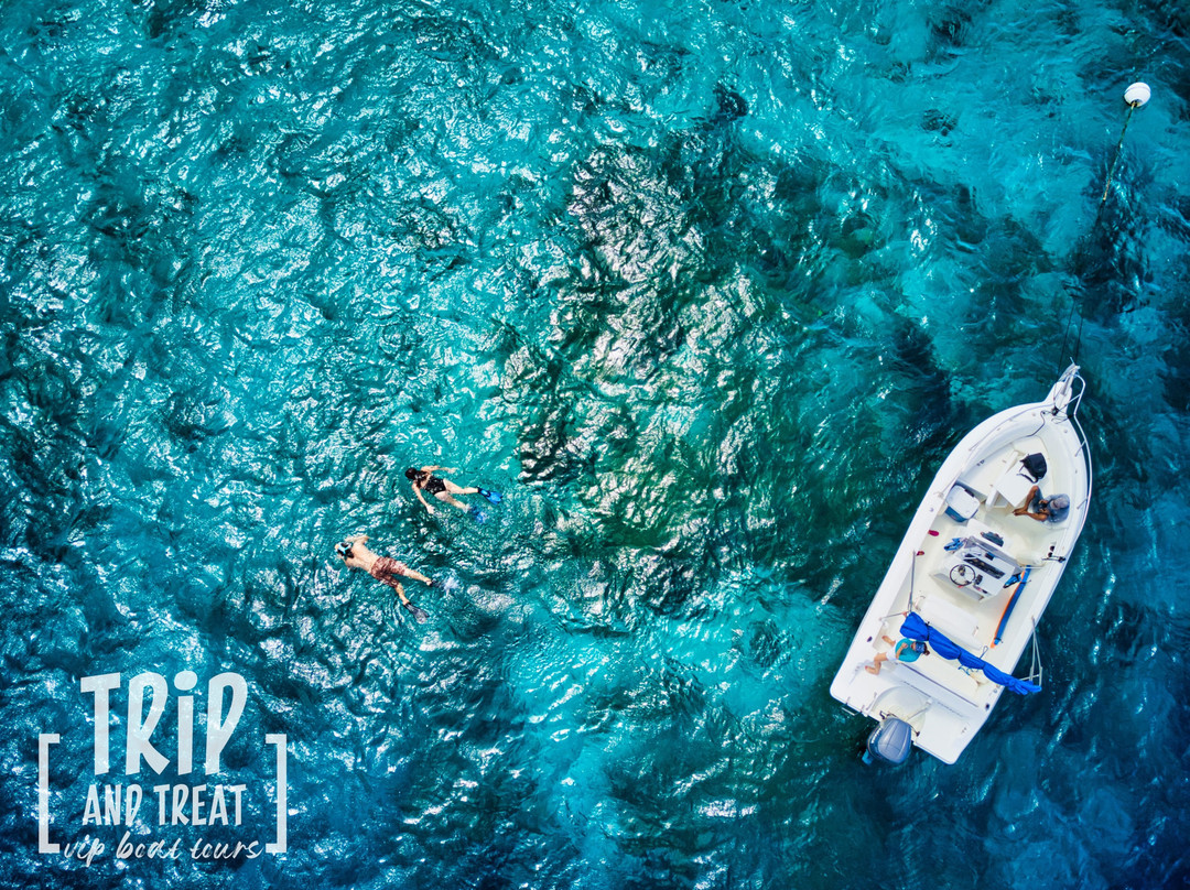 Trip and Treat VIP Boat Tours-威廉斯塔德必去景点