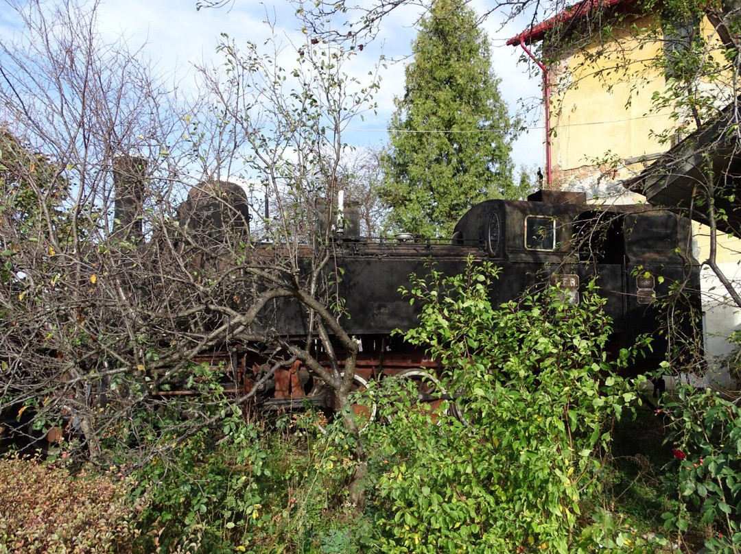 Museum of Steam Locomotives景点图片