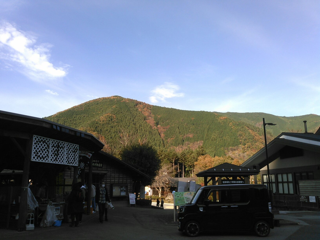 Michi-no-Eki Kosuge景点图片