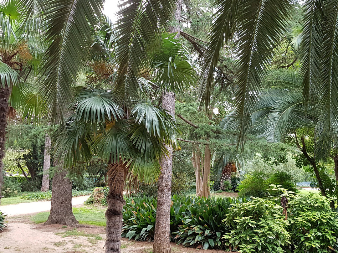 Jardins Palau Reial Pedralbes景点图片