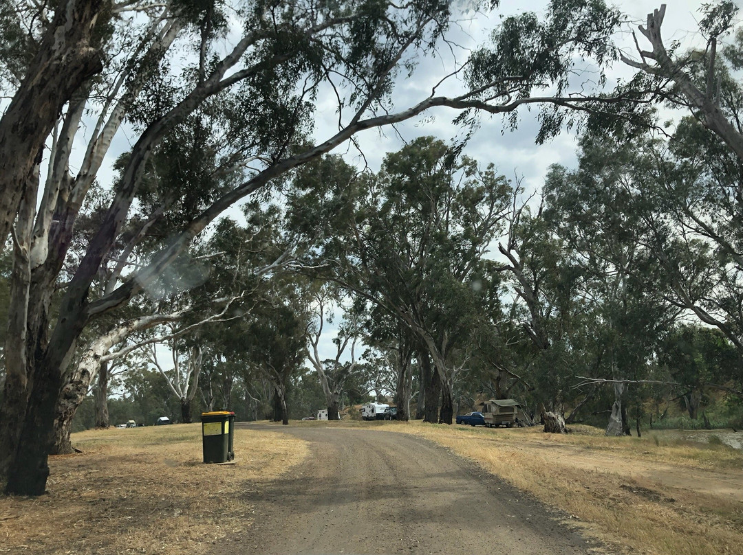 Newbridge Recreation Reserve-Newbridge必去景点