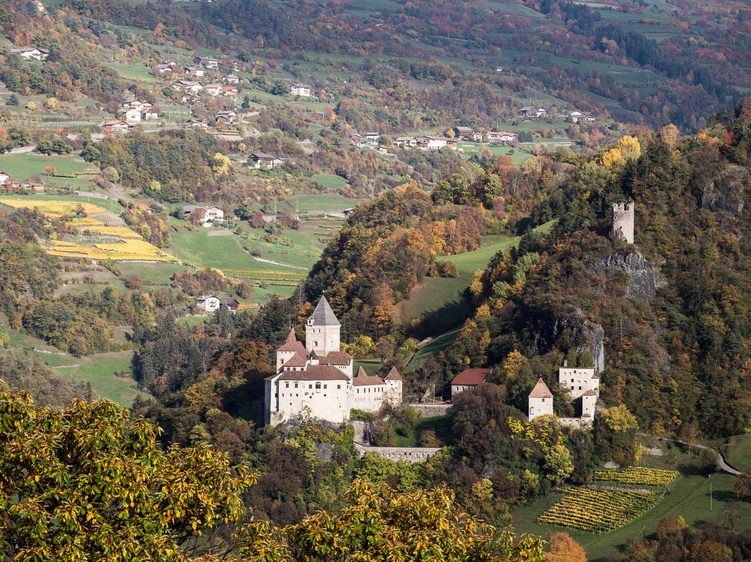 Gasthof Lamm beim schiefen Turm主图
