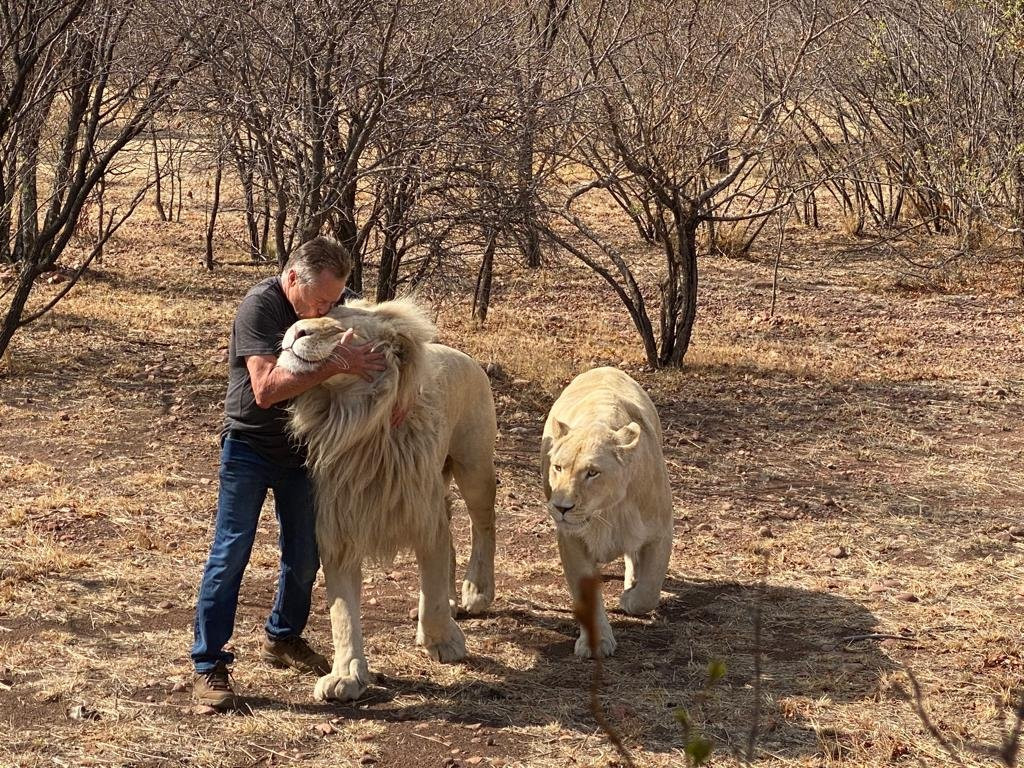 Lion and Cheetah Sanctuary-柯立南必去景点