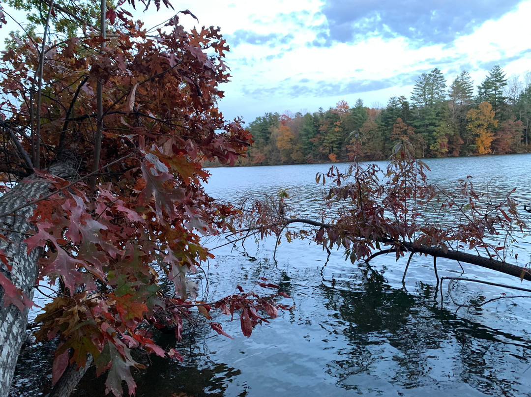 Lake Lure景点图片