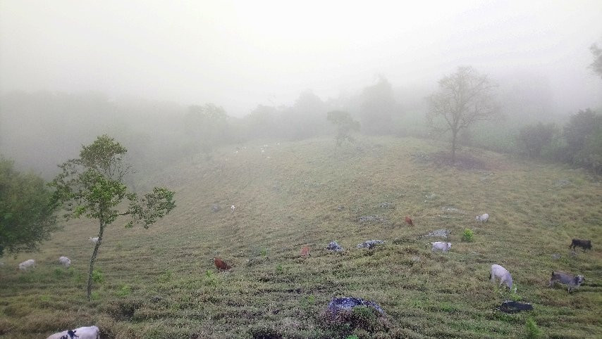 Cascada La Chorrera景点图片