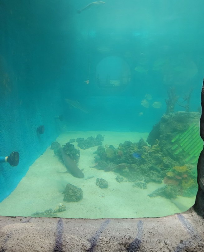 East Idaho Aquarium景点图片