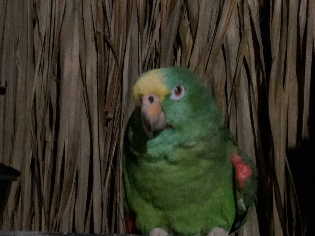 Posadas Ecoturisticas Seineken主图