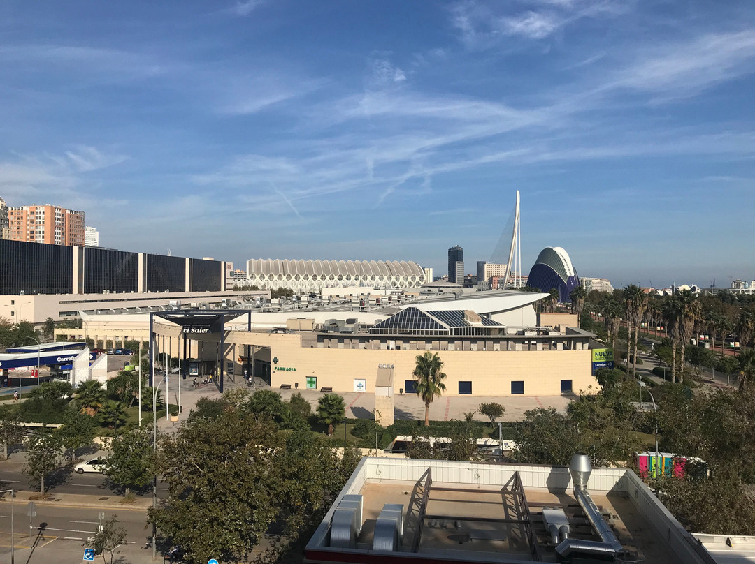 瓦伦西亚科学城智选假日酒店主图