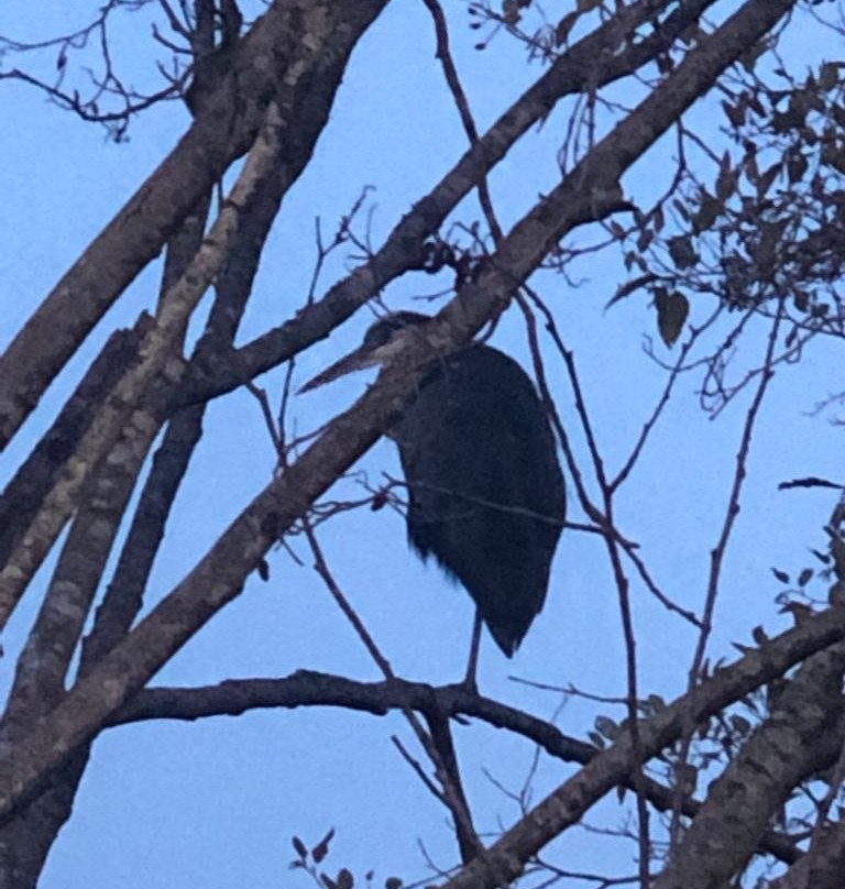 Colony Farm Regional Park-高贵林港必去景点
