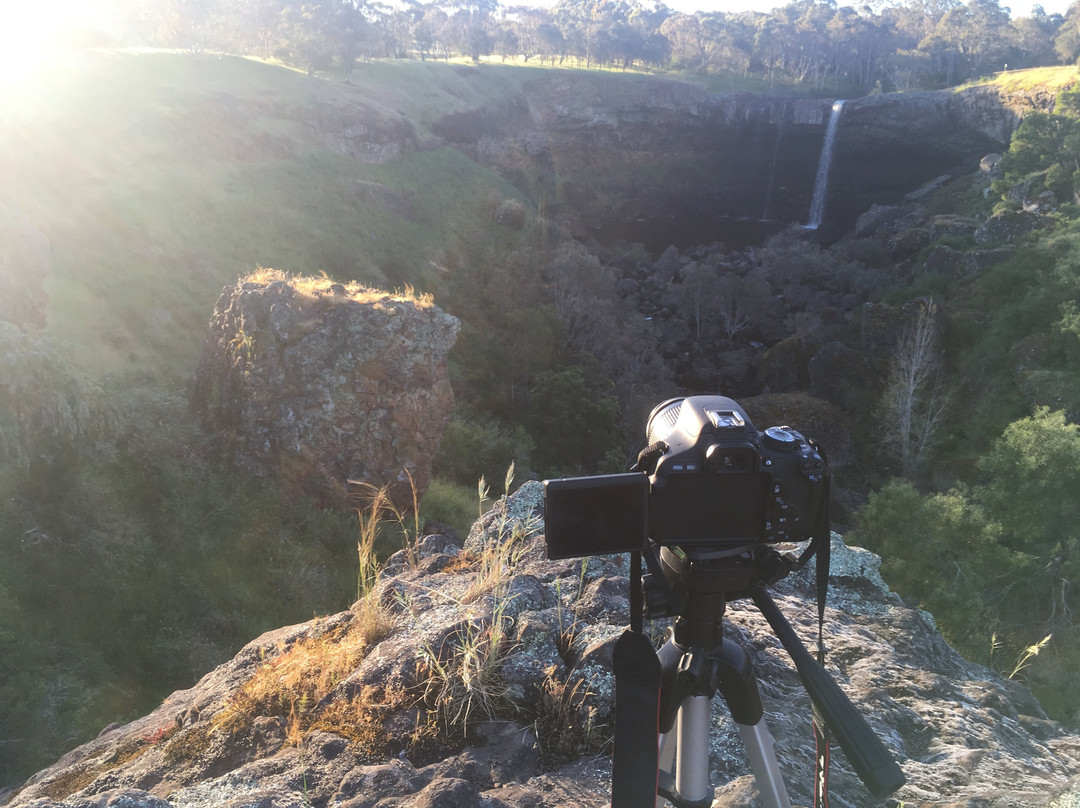 Hamilton & Grampians Visitor Information Centre景点图片