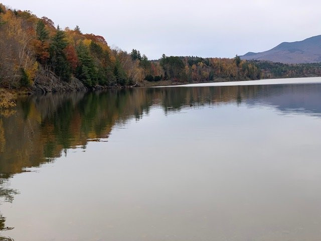 Waterbury Center State Park景点图片