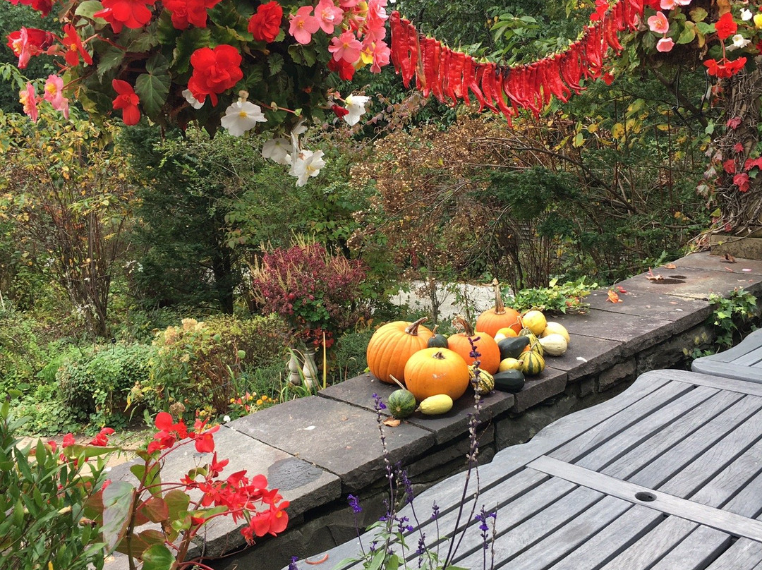 Barakura English Garden-茅野市必去景点