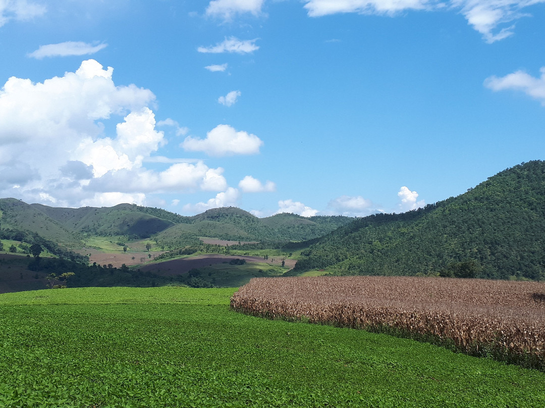 Image Of Myanmar Travel-仰光必去景点