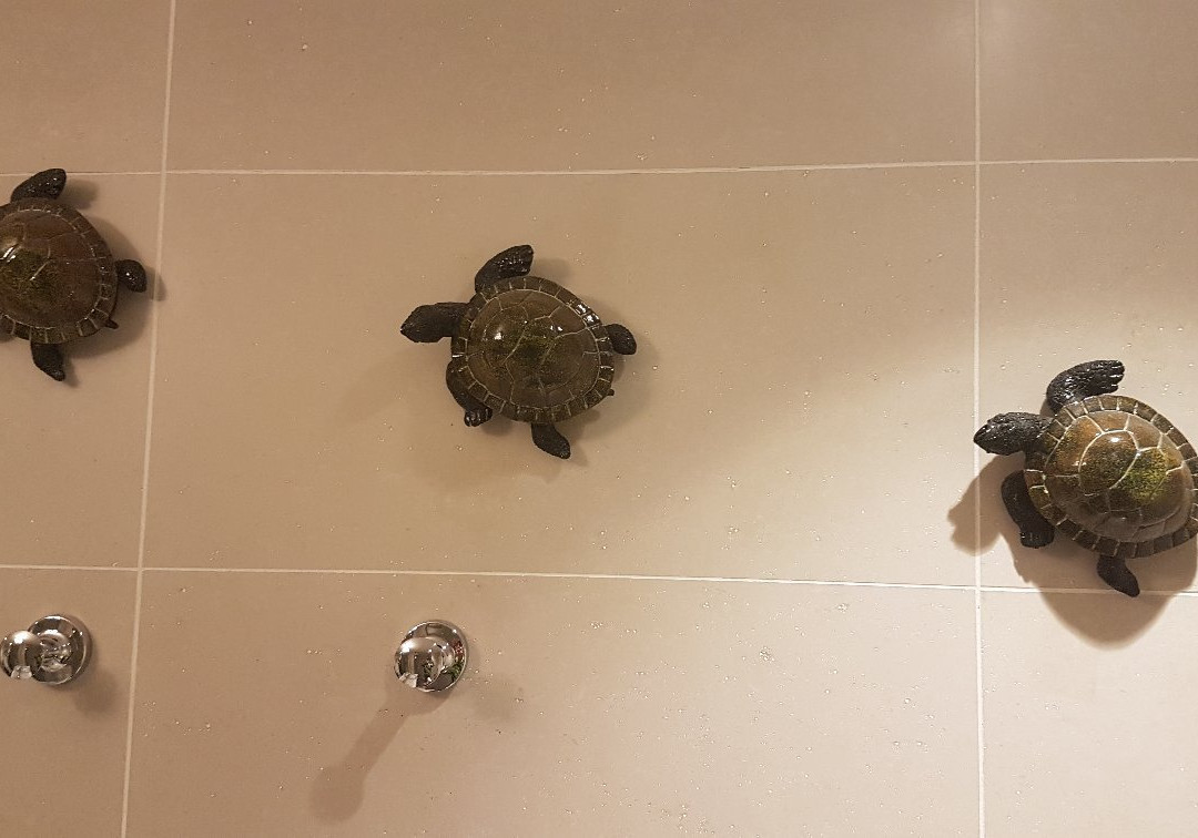 珊瑚海度假村主图