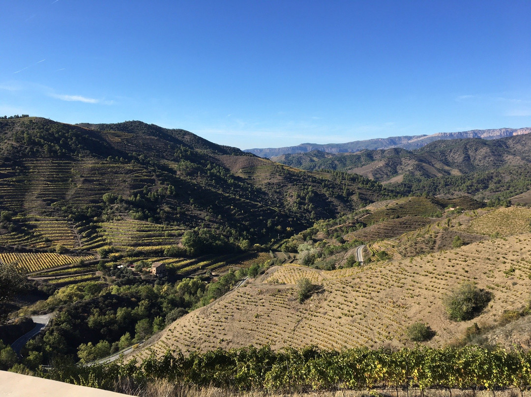 Priorat Natur景点图片