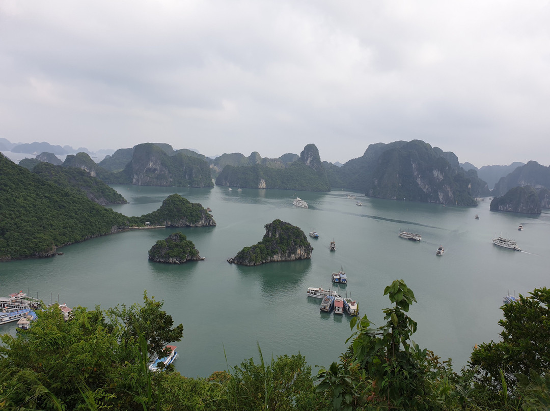 Alova Premium Cruises-团洲岛必去景点