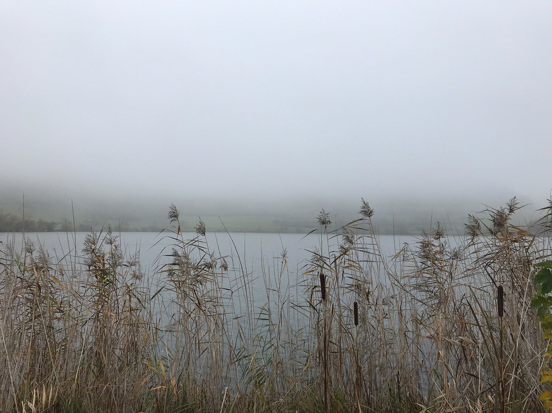 Hotel Cafe del Maar主图