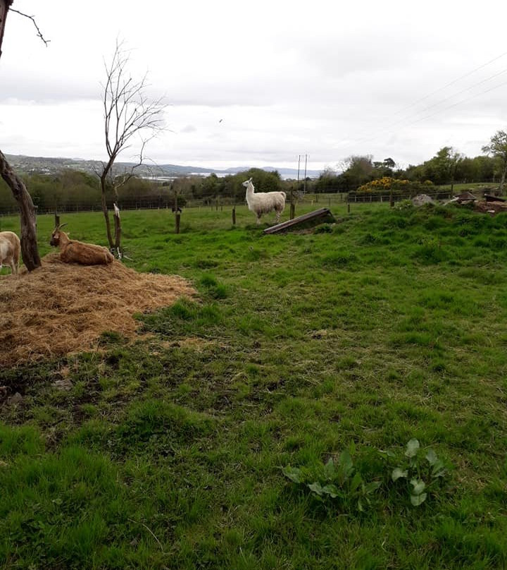 Lurgybrack Open Farm-County Donegal必去景点