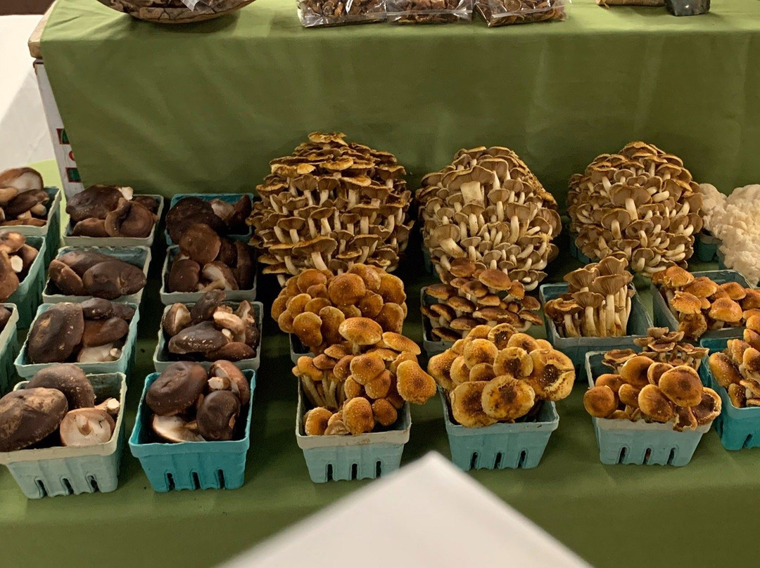 Dorset Farmers Market