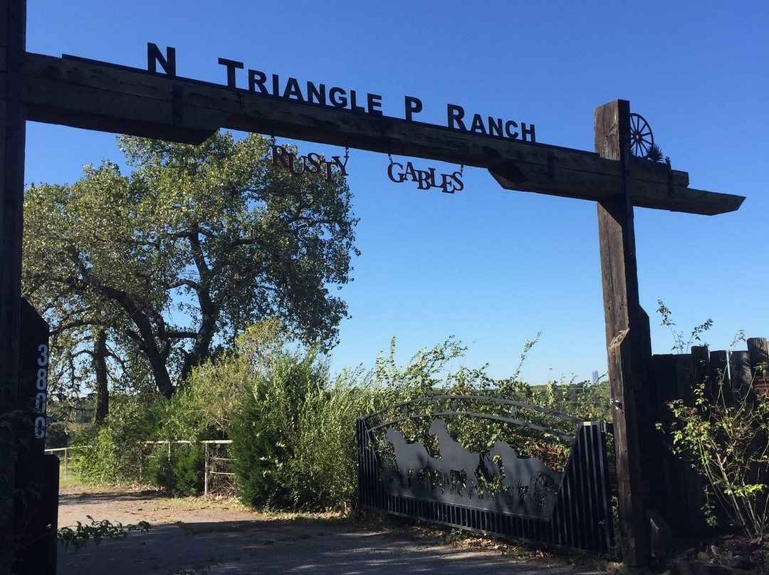 Rusty Gables Guest Lodge & Gallery主图