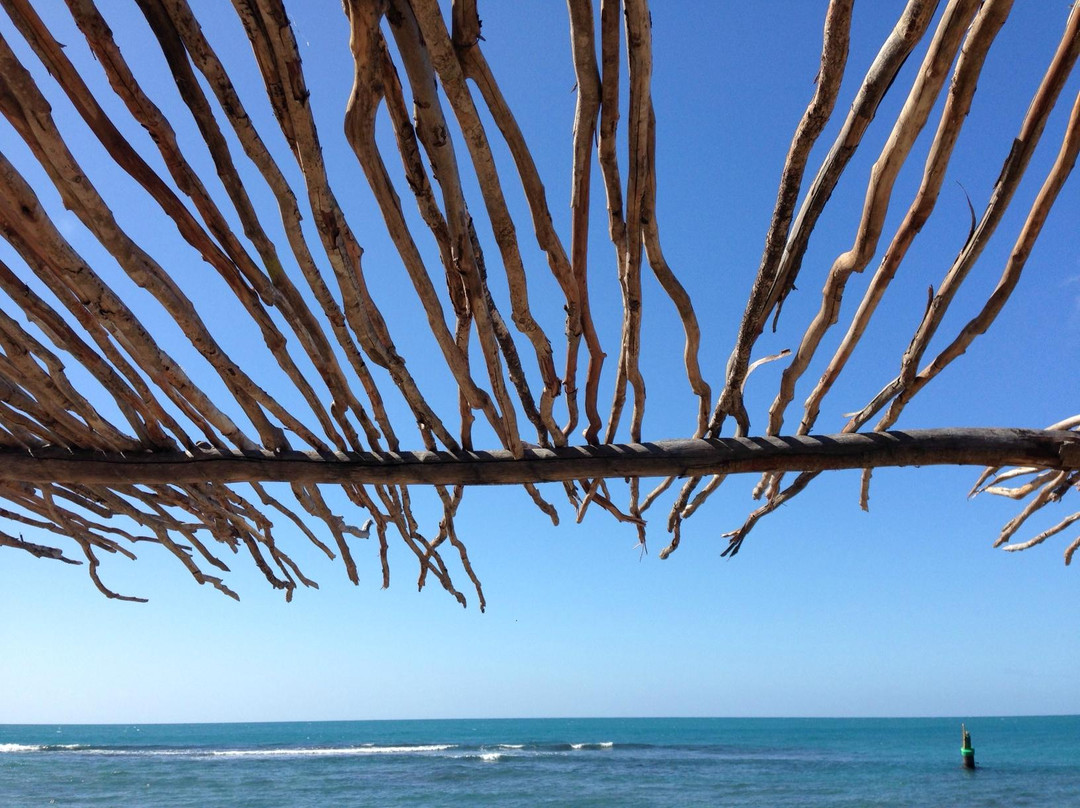 Buttonwood JA - Tours