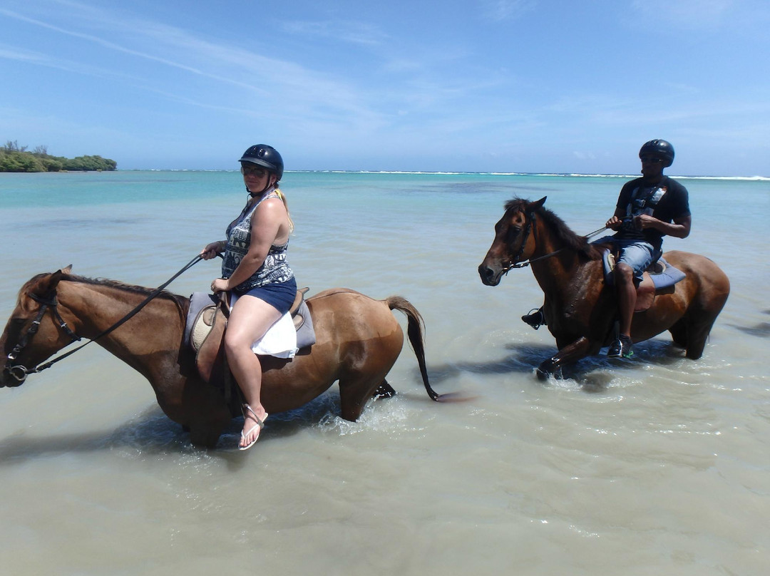 JusTours Jamaica - Horseback Ride 'n' Swim Tour景点图片