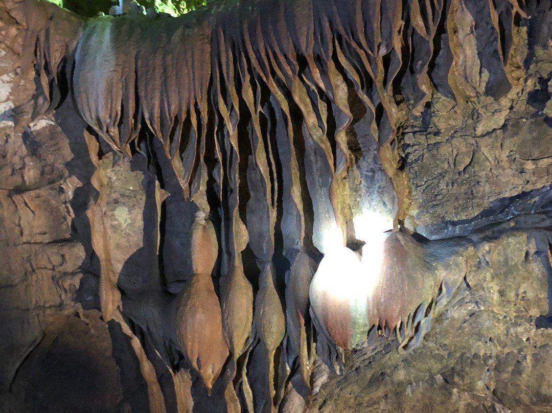 Grotte di Castelcivita景点图片