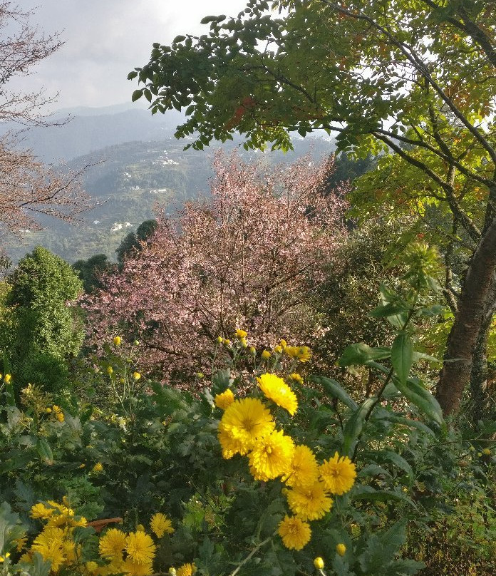 Somerset Lodge主图