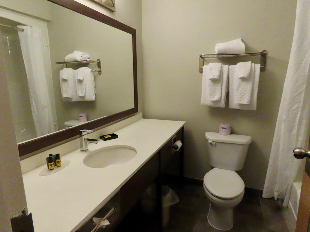 Best Western Plus Moncton主图