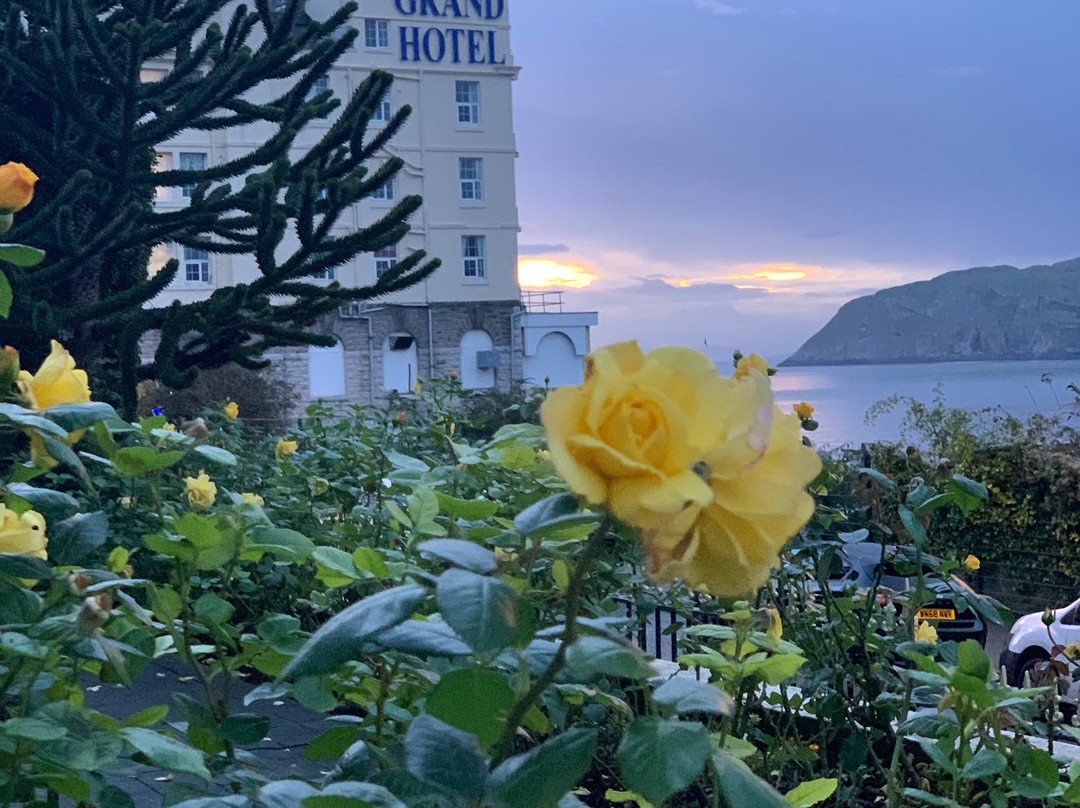 布莱恩-Y-摩尔酒店主图