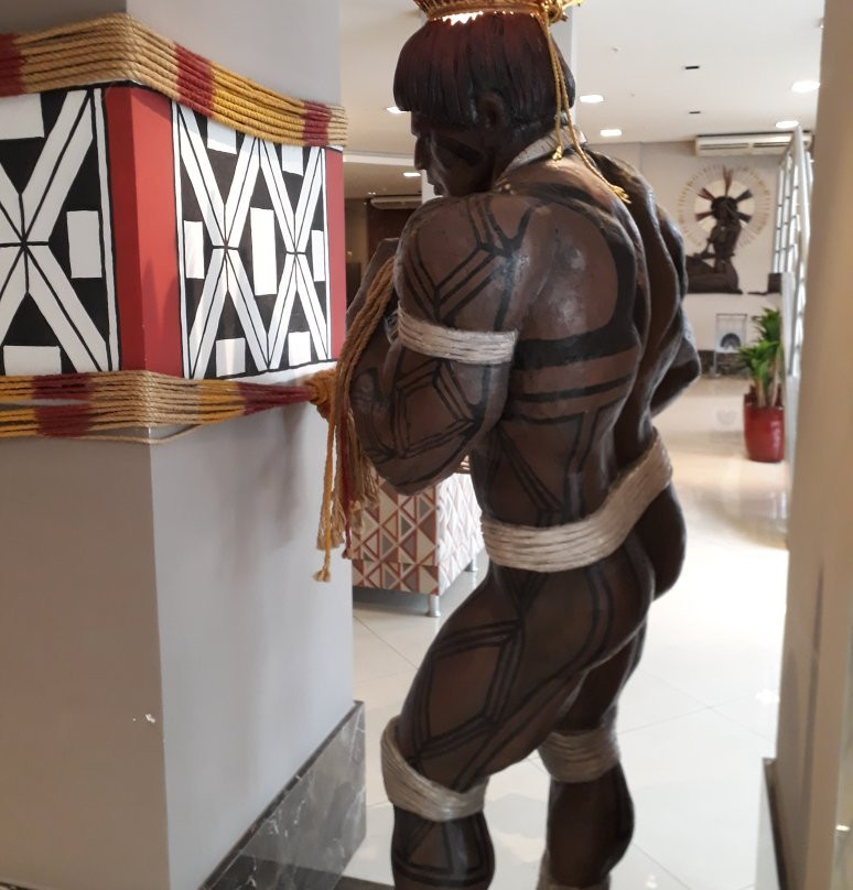 Paiaguas Palace Hotel主图