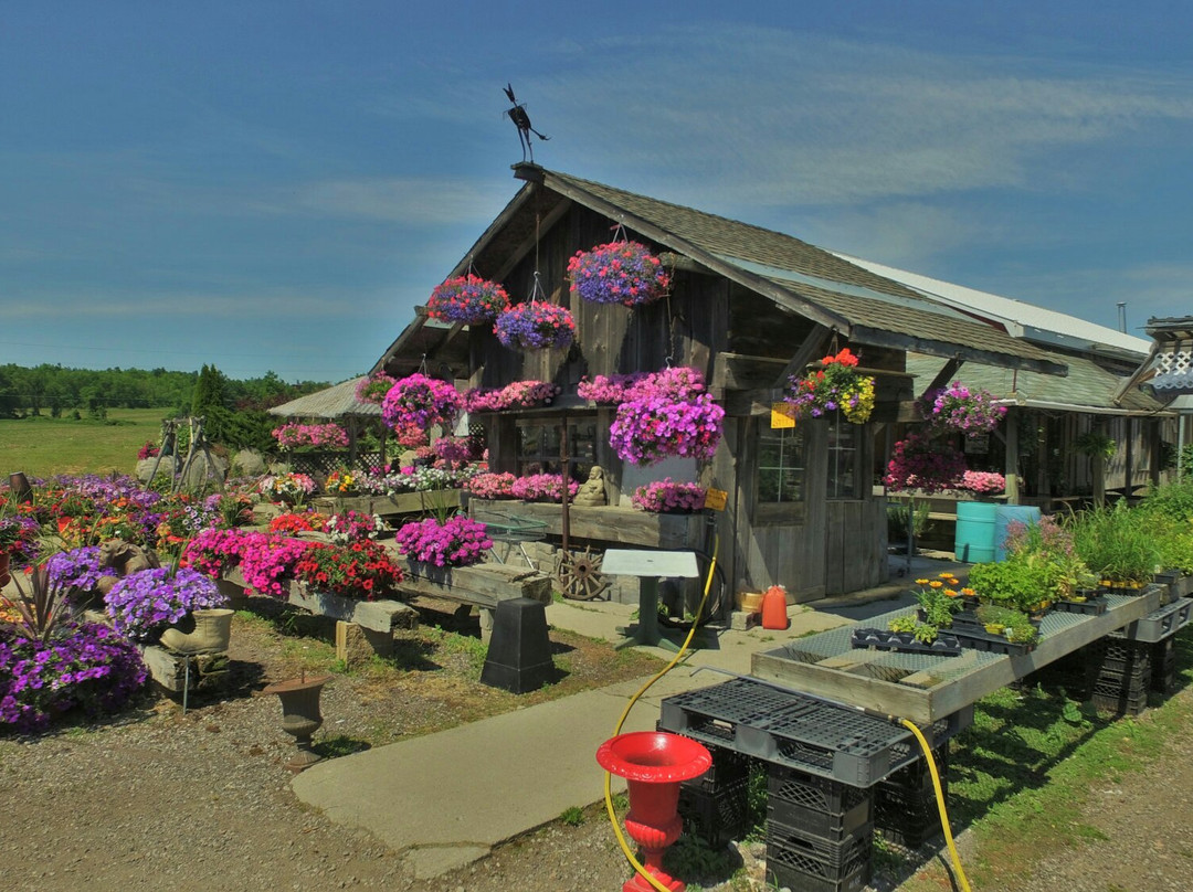 Awesome Blossom Organics景点图片