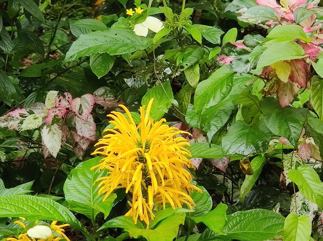 Vihar Homestay主图